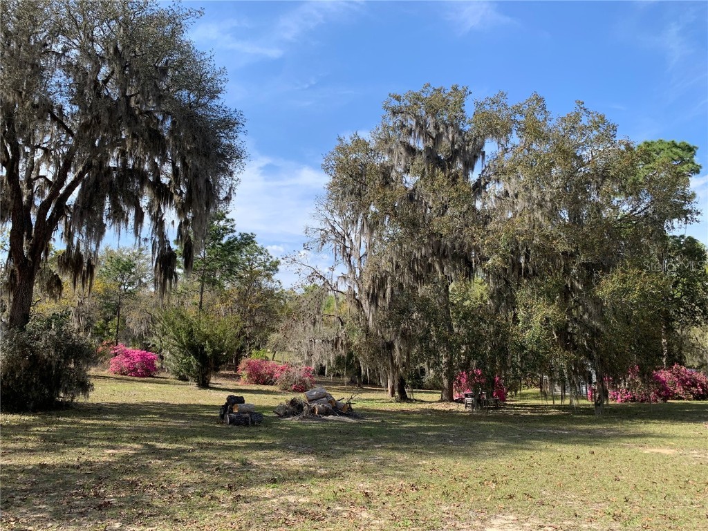 24605 and 24645 NE 177th Terrace Fort Mc Coy FL 32134 TB8433646 image9