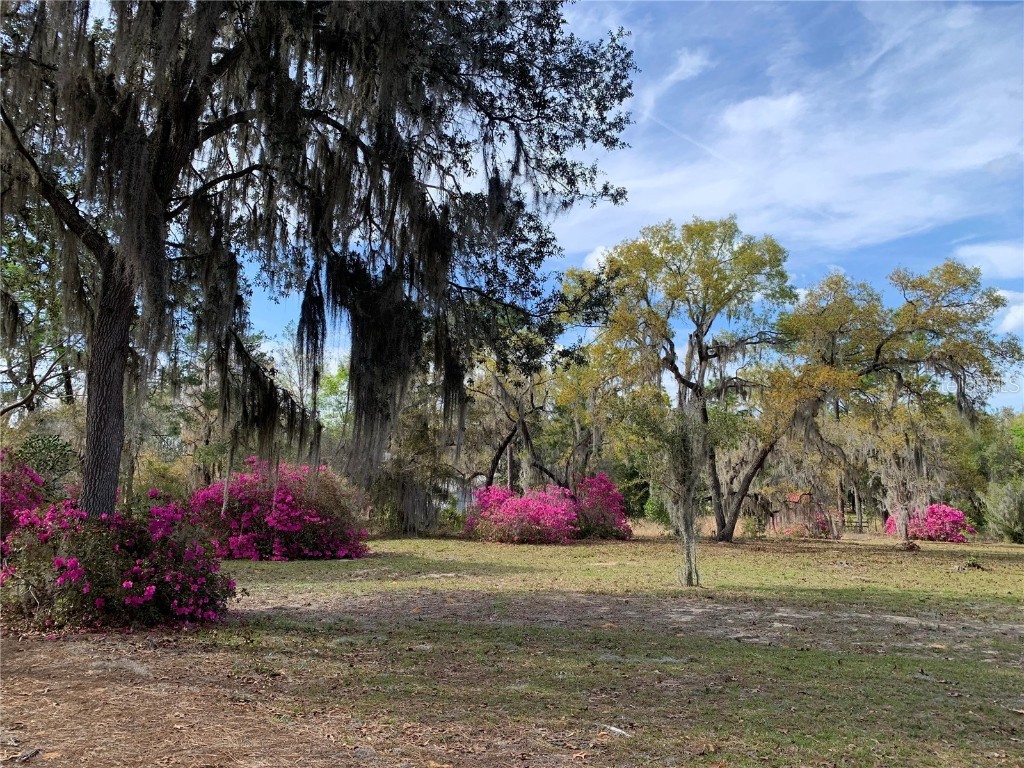 24605 and 24645 NE 177th Terrace Fort Mc Coy FL 32134 TB8433646 image96