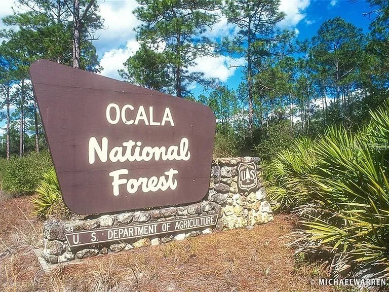 24607 Polar Bear Road Paisley FL 32767 G5113975 image48