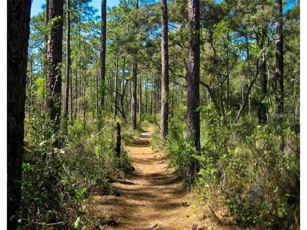 24607 Polar Bear Road Paisley FL 32767 G5113975 image49