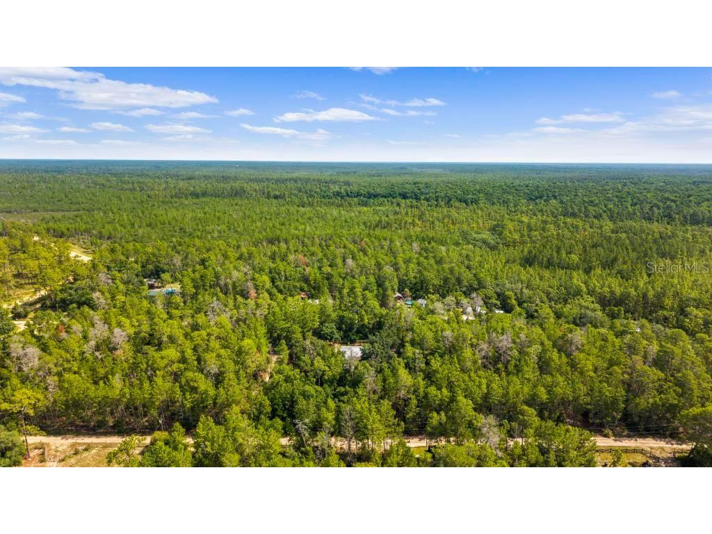24607 Polar Bear Road Paisley FL 32767 G5113975 image51