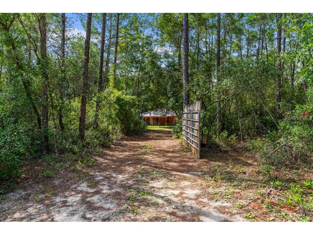 24607 Polar Bear Road Paisley FL 32767 G5113975 image7