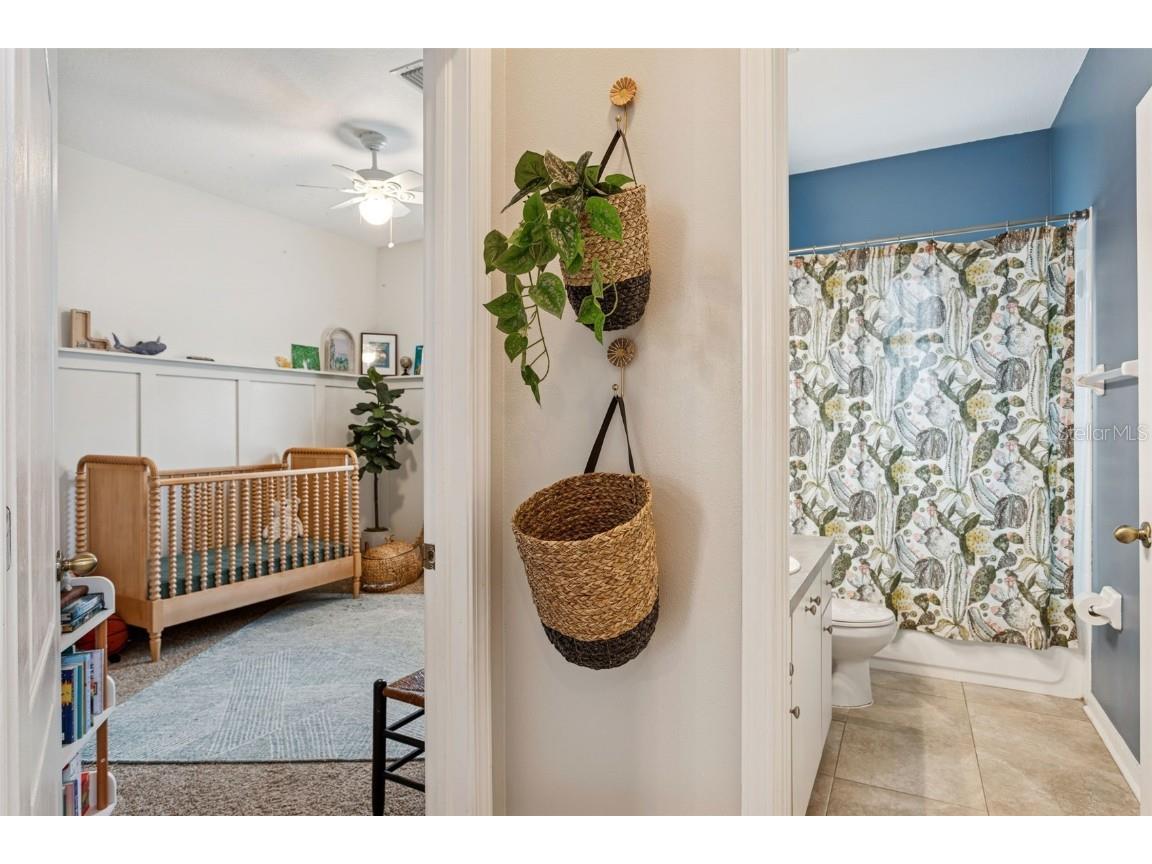 24607 Volterra Court Lutz FL 33559 TB8455554 image18