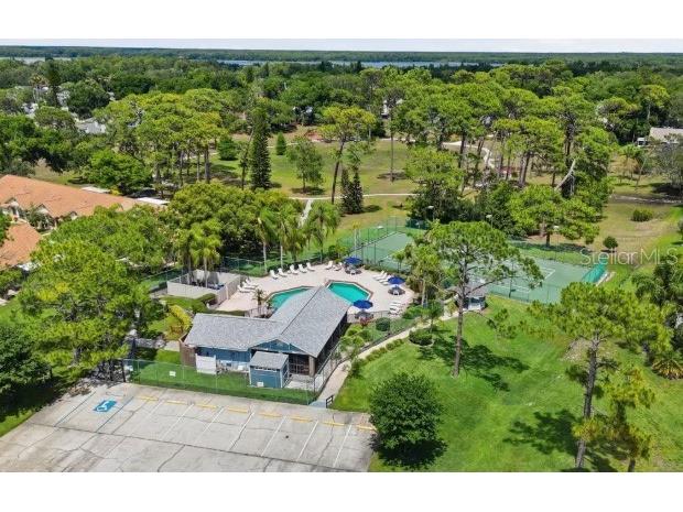 2461 Bentley Drive Palm Harbor FL 34684 TB8513620 image20
