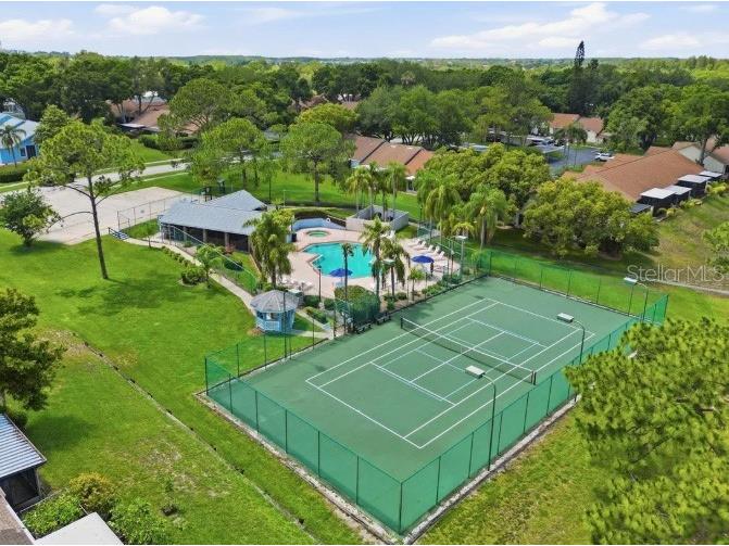 2461 Bentley Drive Palm Harbor FL 34684 TB8513620 image21