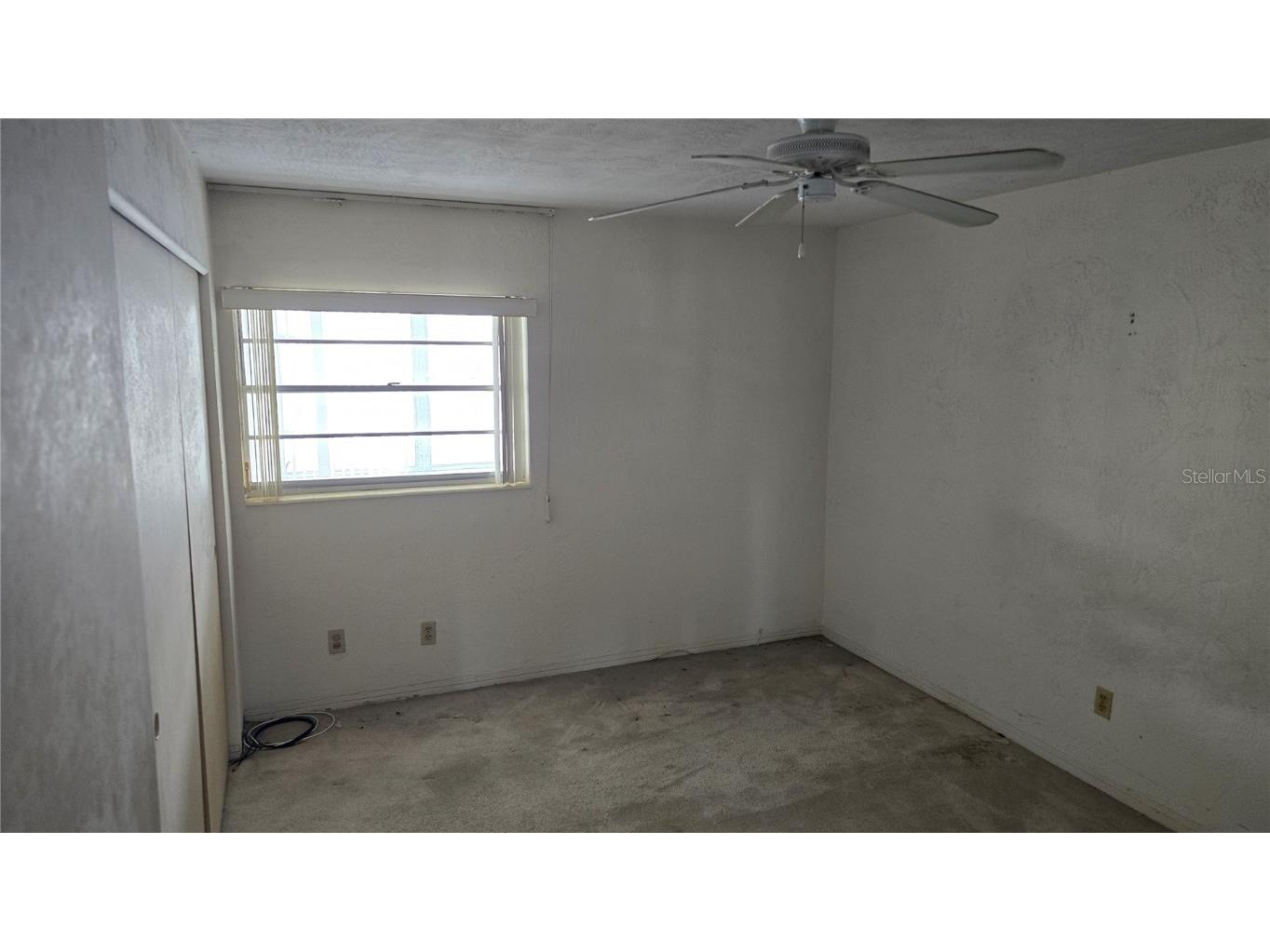 2461 Canadian Way #33 Clearwater FL 33763 TB8430345 image14