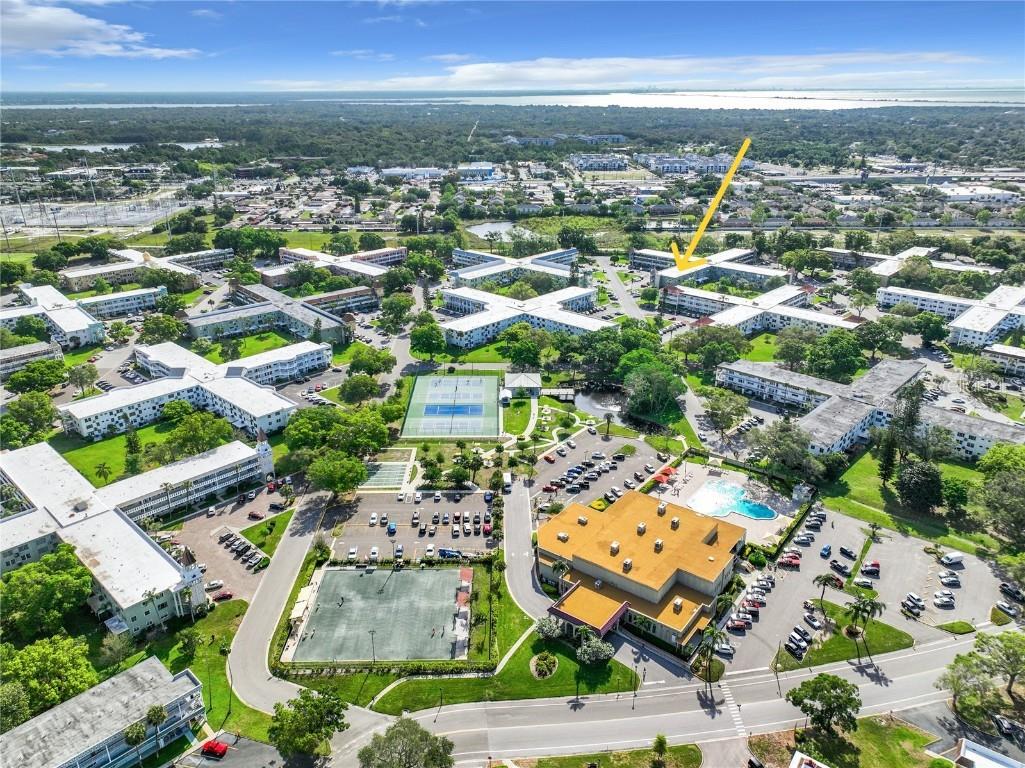 2461 Canadian Way #45 Clearwater FL 33763 TB8443338 image25