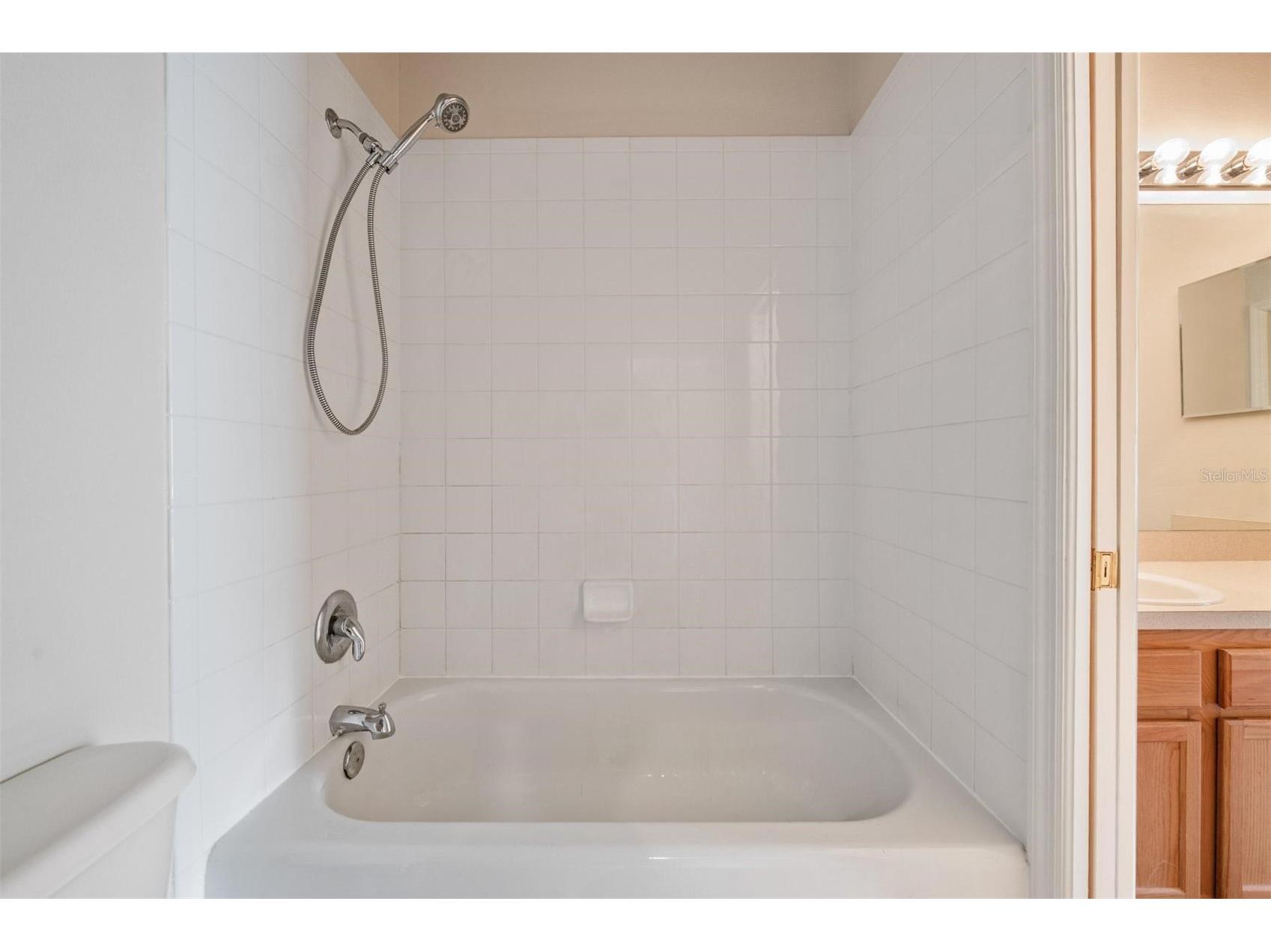 2461 Earlswood Court Brandon FL 33510 TB8512731 image20