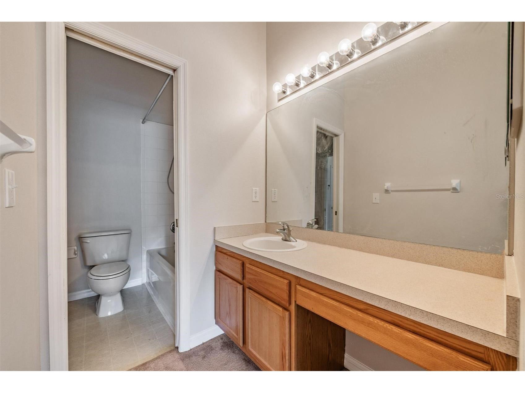 2461 Earlswood Court Brandon FL 33510 TB8512731 image22