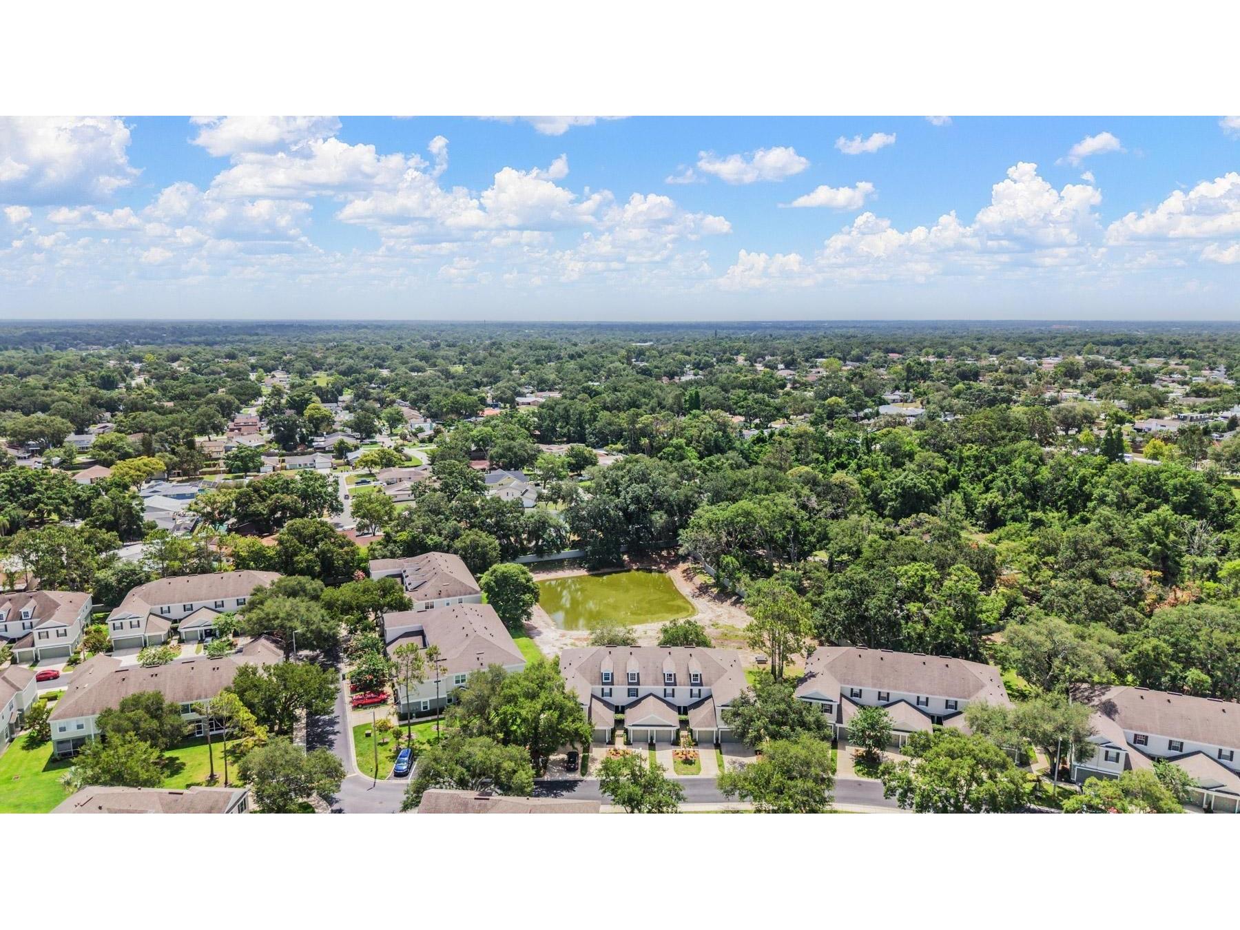 2461 Earlswood Court Brandon FL 33510 TB8512731 image32