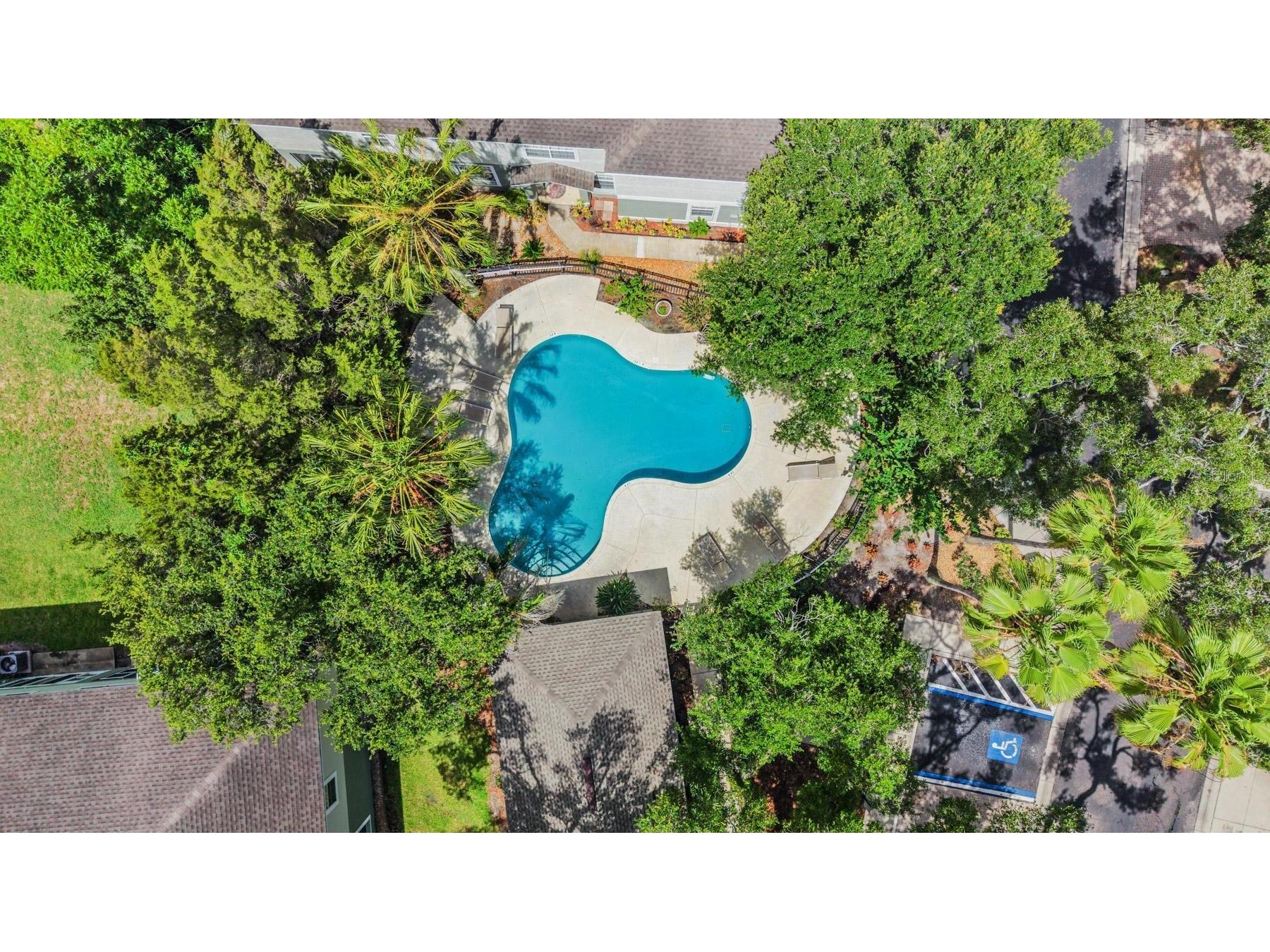 2461 Earlswood Court Brandon FL 33510 TB8512731 image35