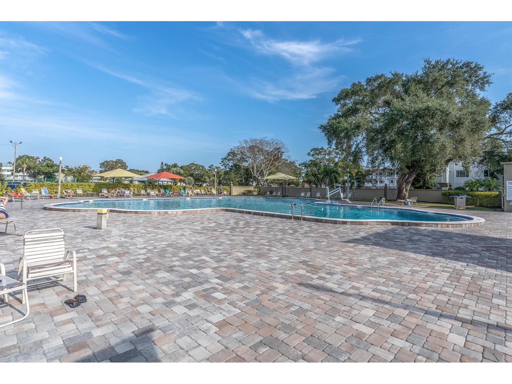 2461 Rhodesian Drive #45 Clearwater FL 33763 TB8522593 image32