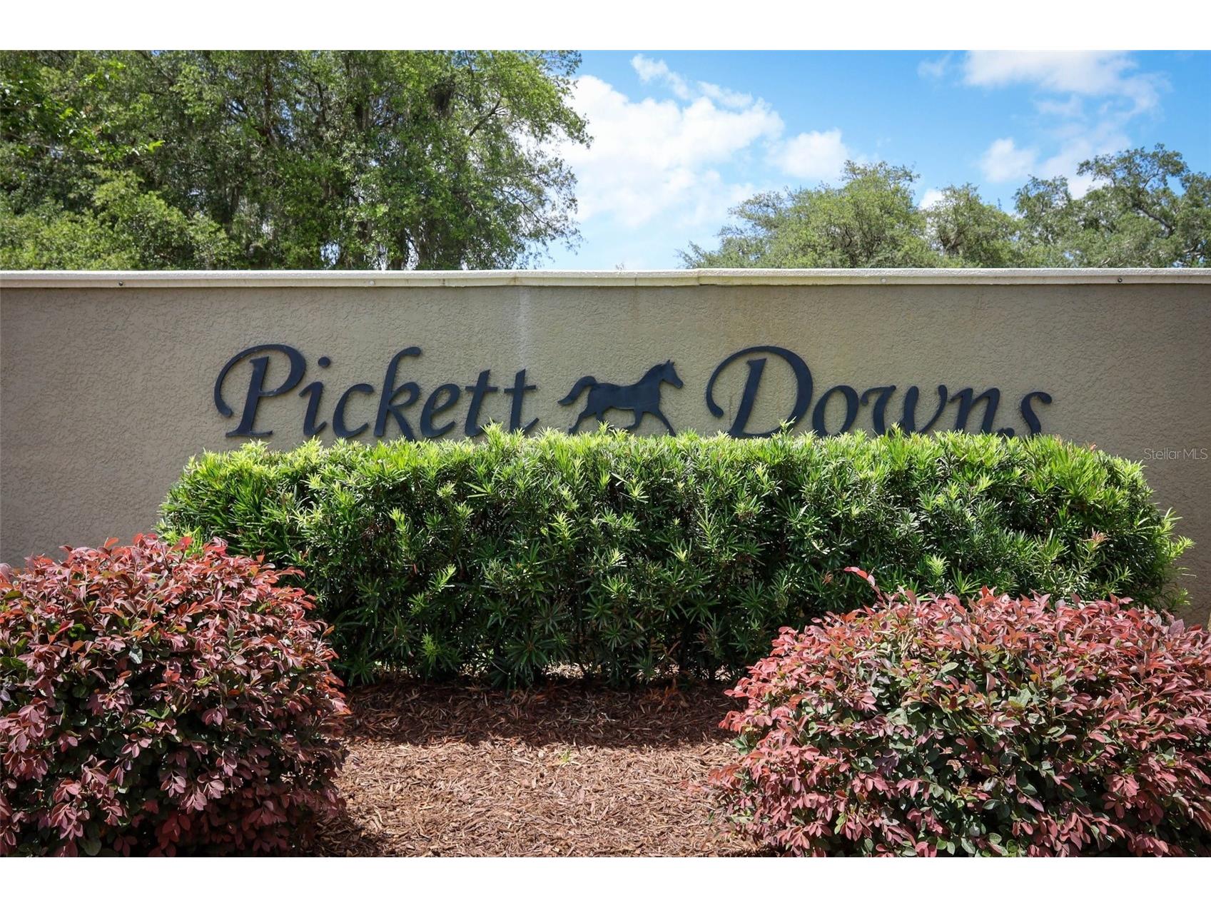 2461 Wassum Trail Oviedo FL 32766 - LAKE PICKETT O6411590 image58