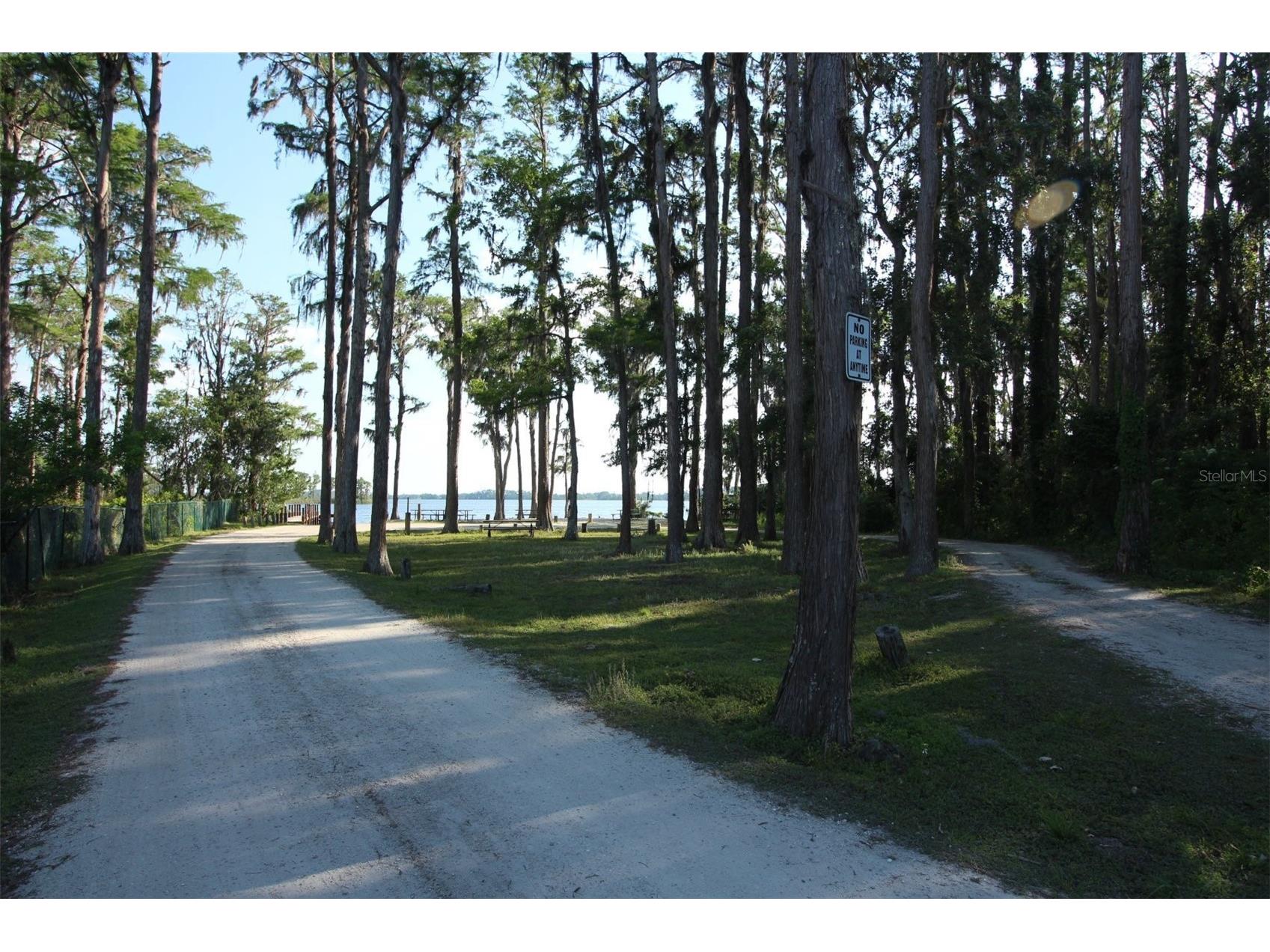 2461 Wassum Trail Oviedo FL 32766 - LAKE PICKETT O6411590 image66