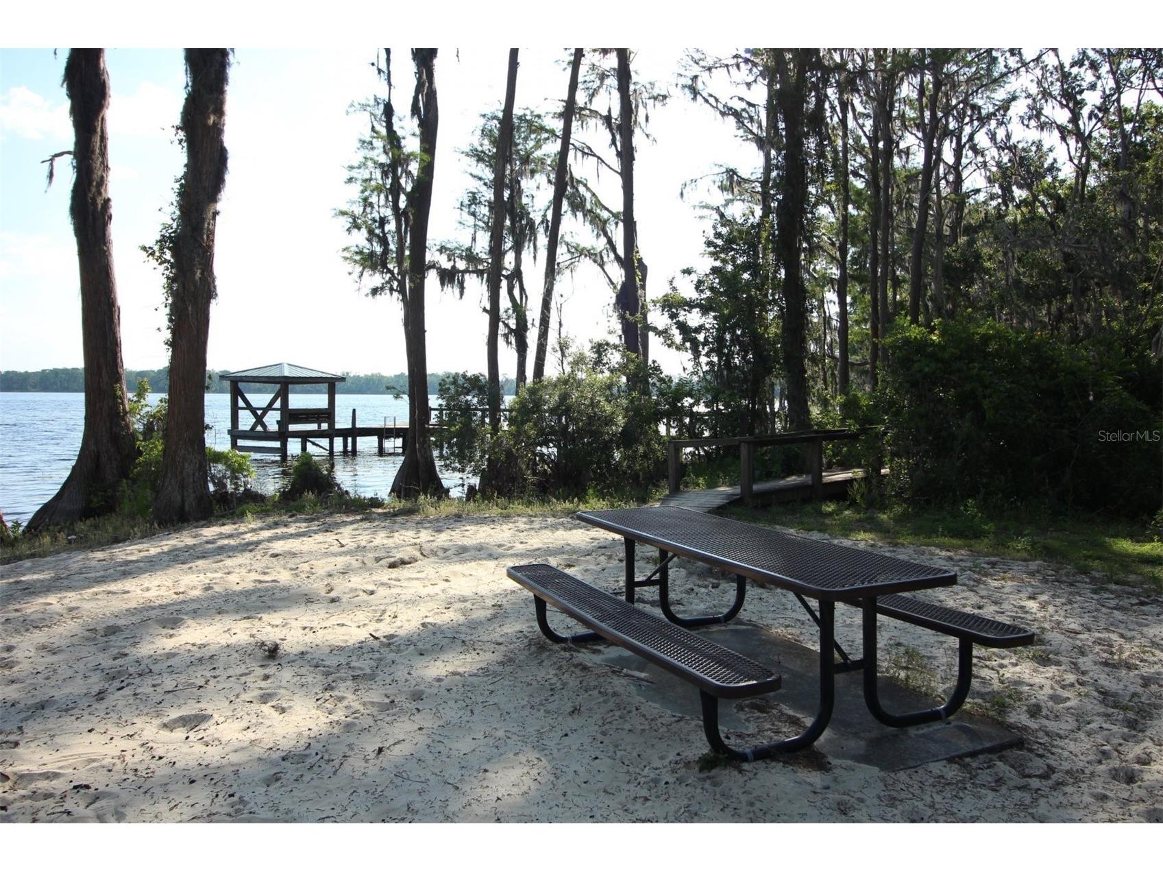 2461 Wassum Trail Oviedo FL 32766 - LAKE PICKETT O6411590 image67