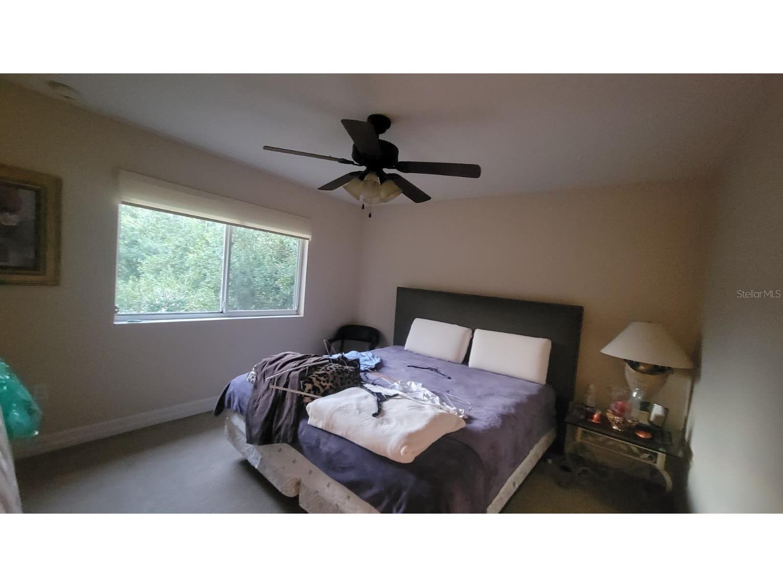 2461 Woodbark Street Apopka FL 32712 S5132128 image20