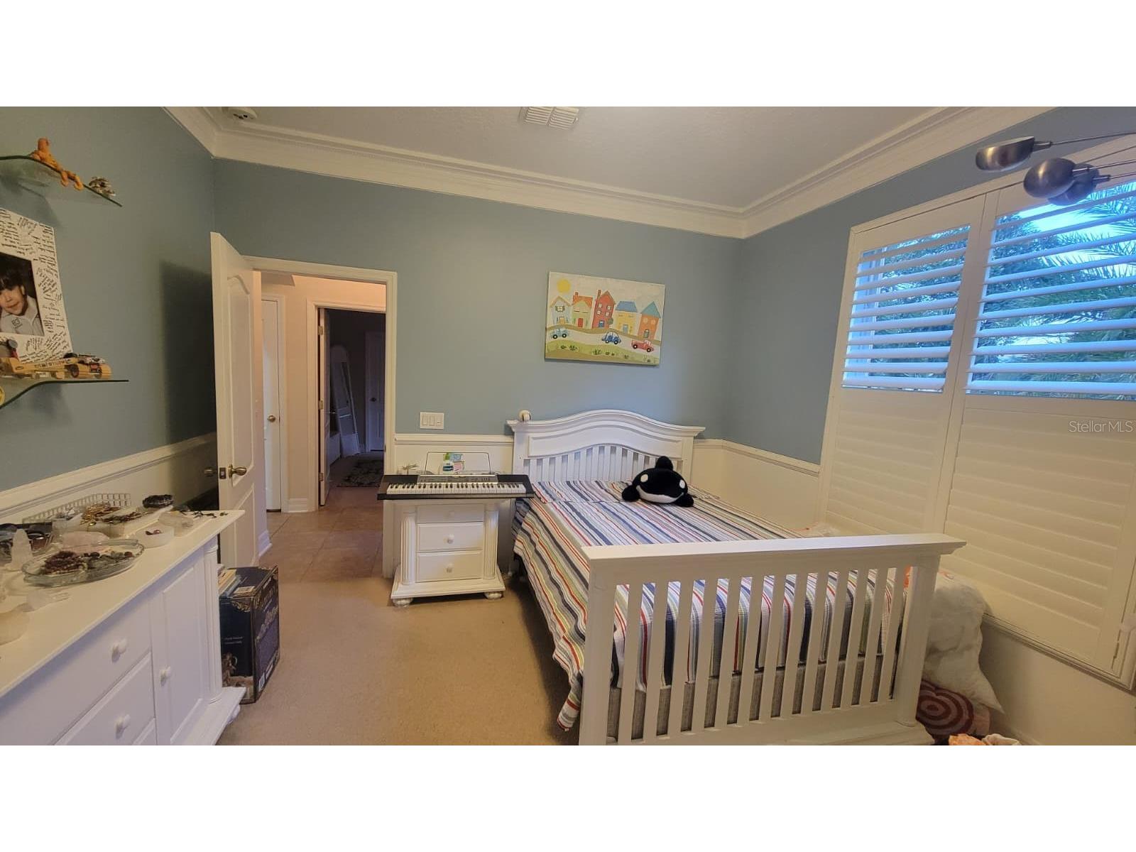 2461 Woodbark Street Apopka FL 32712 S5132128 image23