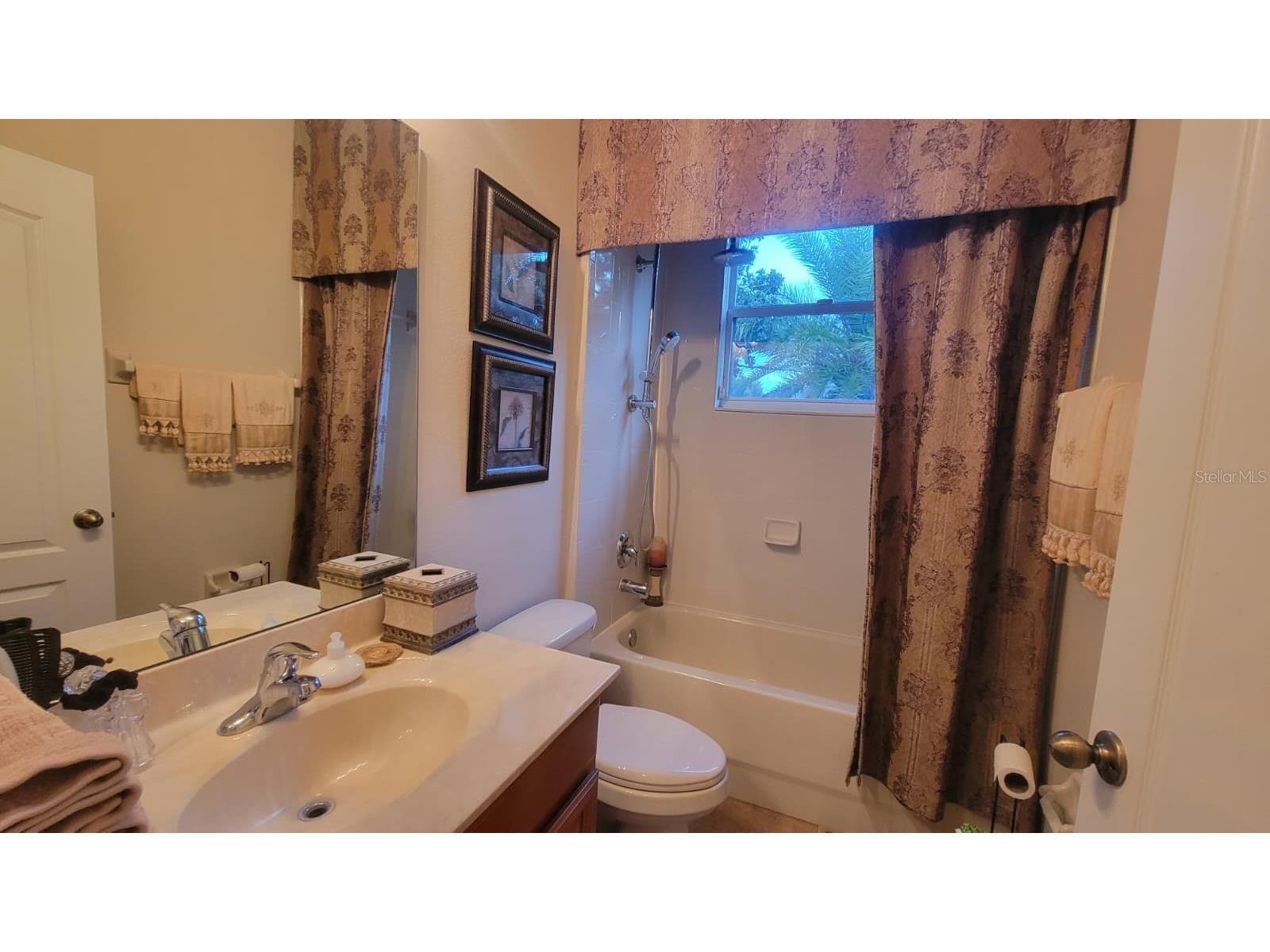 2461 Woodbark Street Apopka FL 32712 S5132128 image25