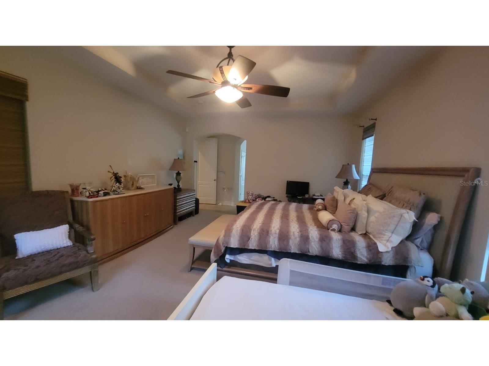 2461 Woodbark Street Apopka FL 32712 S5132128 image34