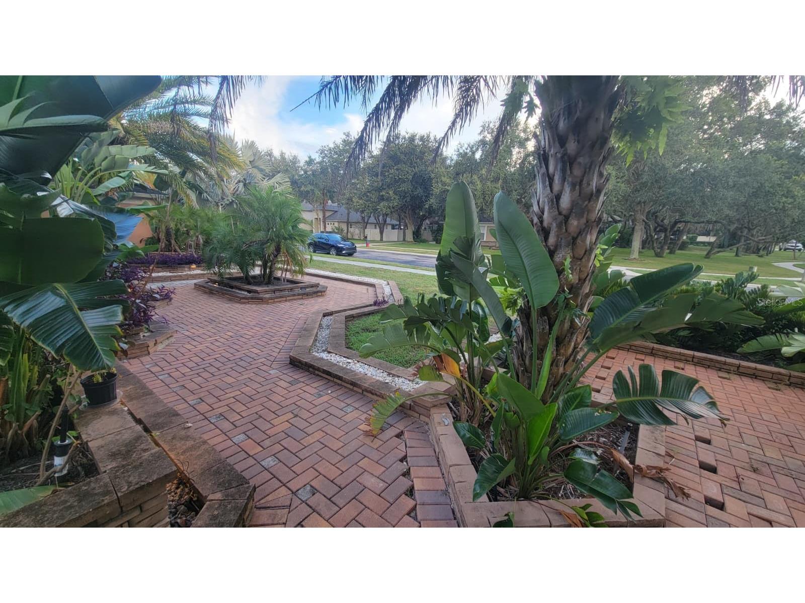 2461 Woodbark Street Apopka FL 32712 S5132128 image6