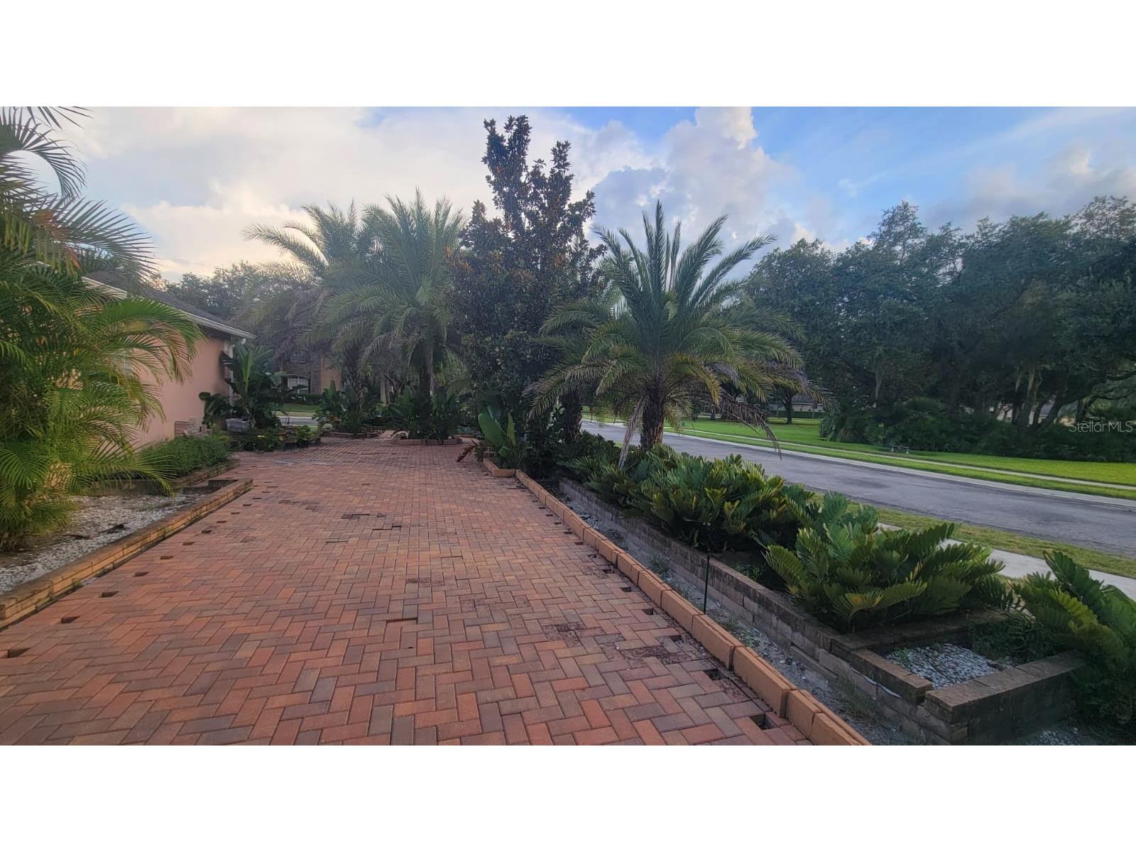 2461 Woodbark Street Apopka FL 32712 S5132128 image8