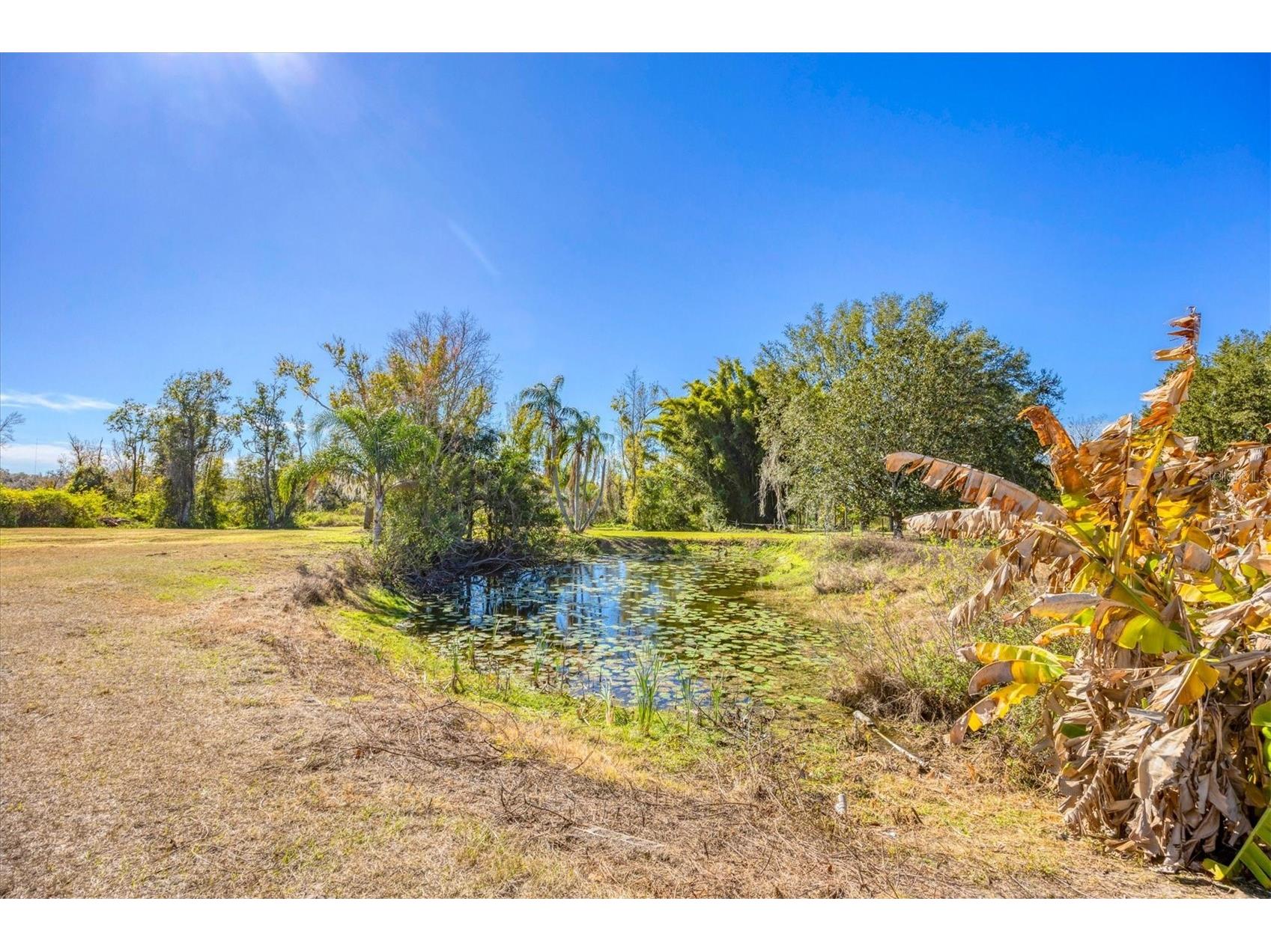 24610 State Road 64 E Myakka City FL 34251 - LAKE MANATEE A4679233 image32