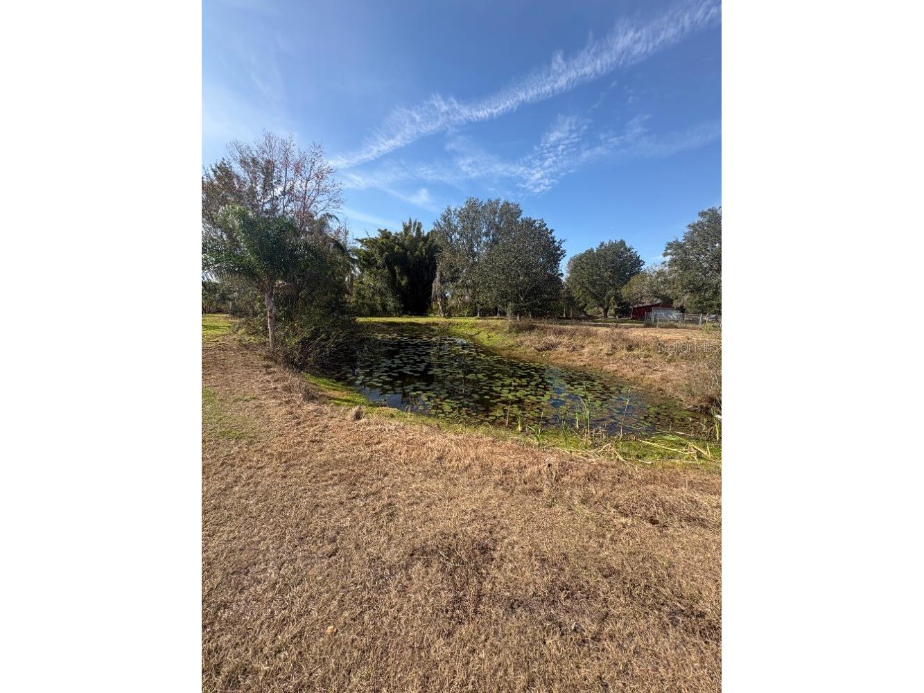 24610 State Road 64 E Myakka City FL 34251 - LAKE MANATEE A4679233 image33