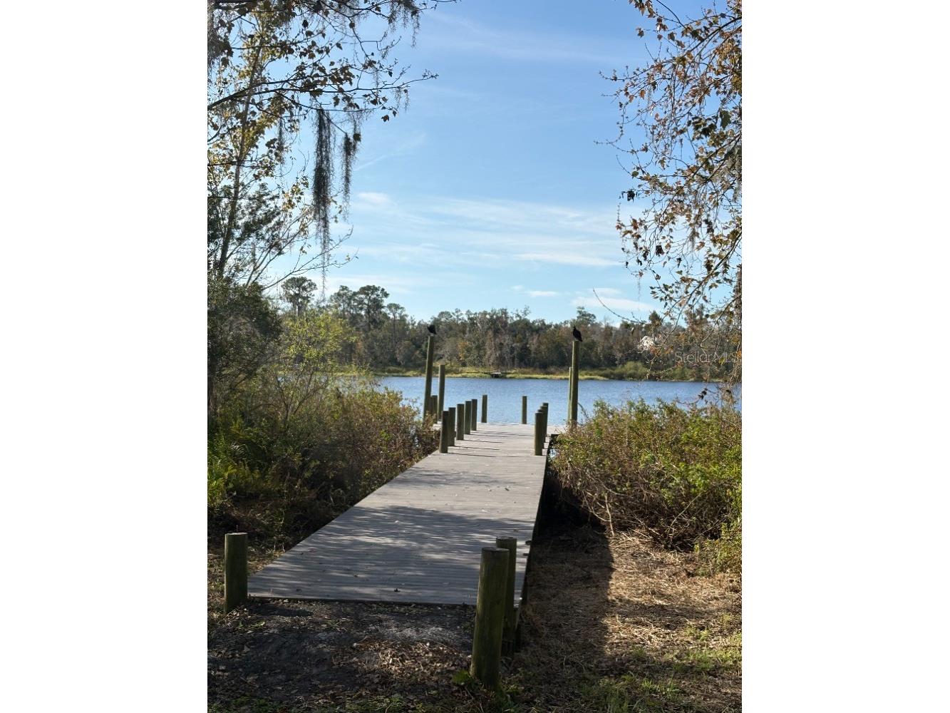 24610 State Road 64 E Myakka City FL 34251 - LAKE MANATEE A4679233 image39