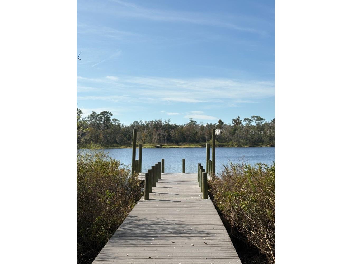 24610 State Road 64 E Myakka City FL 34251 - LAKE MANATEE A4679233 image40
