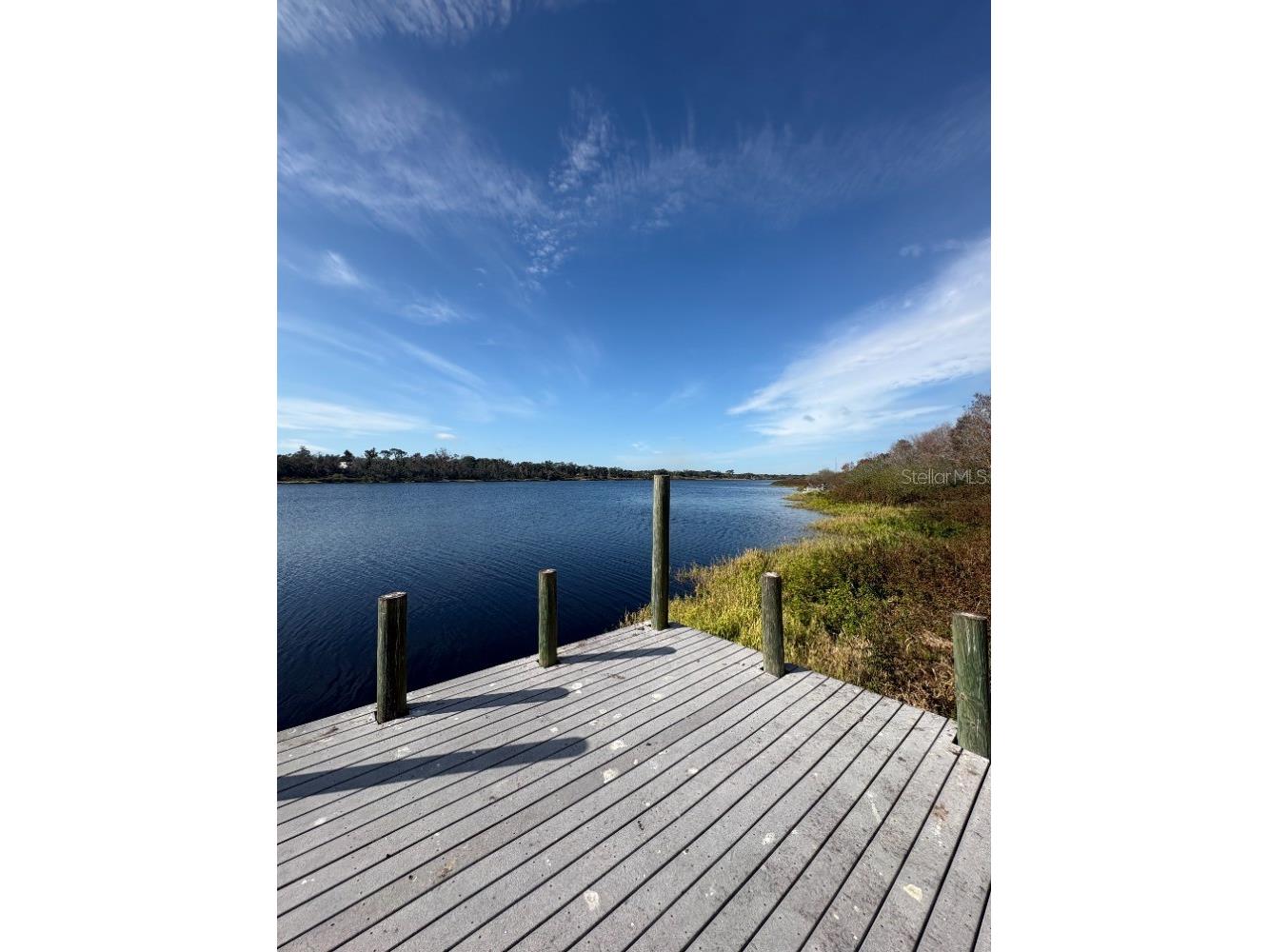 24610 State Road 64 E Myakka City FL 34251 - LAKE MANATEE A4679233 image41