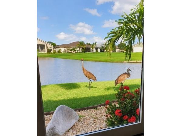 24615 Buckingham Way Punta Gorda FL 33980 C7526598 image9