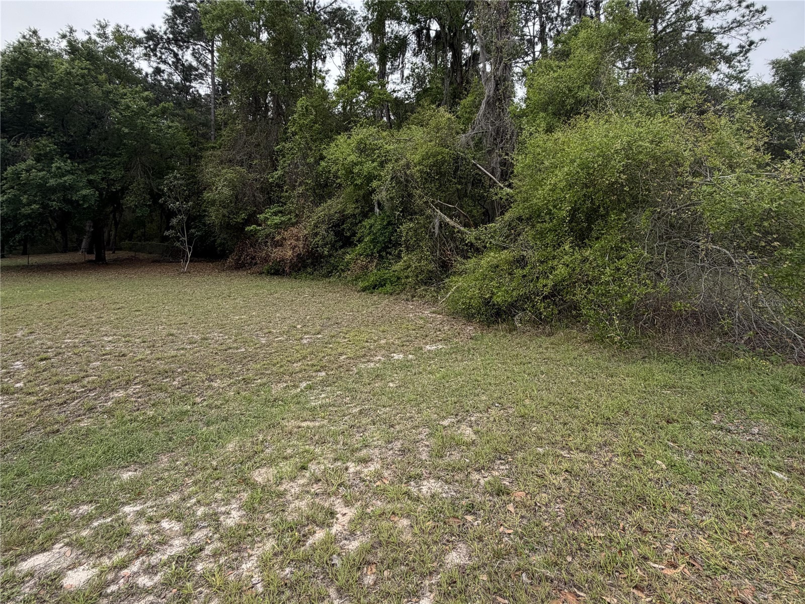 24615 SE 101st Avenue Hawthorne FL 32640 GC538807 image1