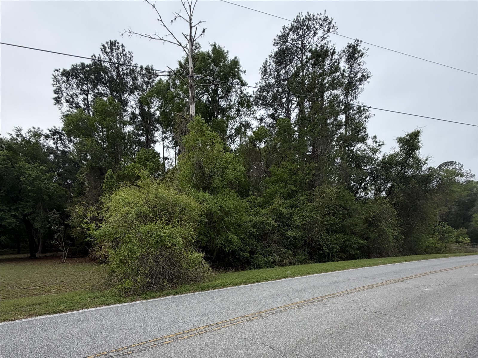 24615 SE 101st Avenue Hawthorne FL 32640 GC538807 image4