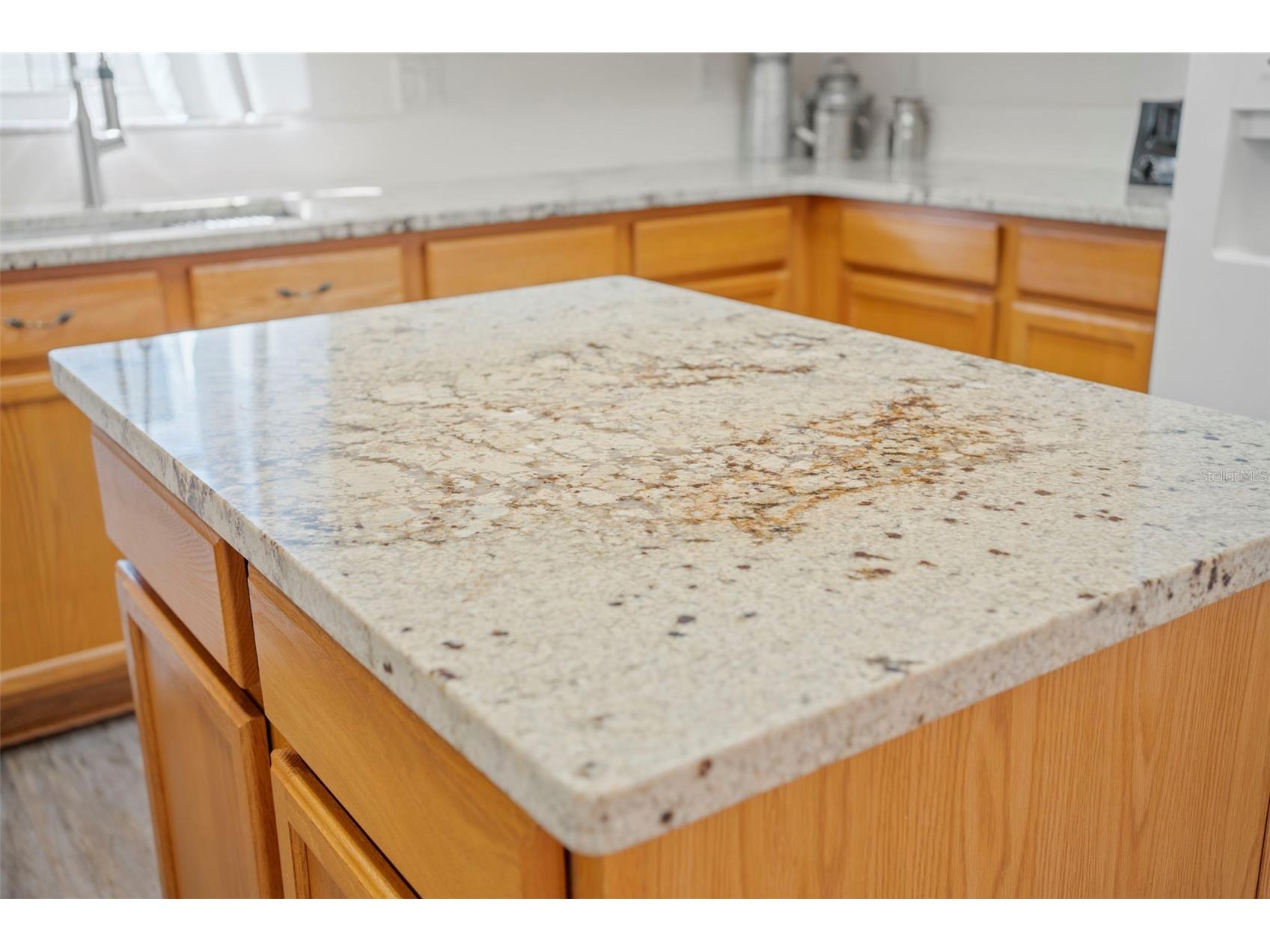 24618 Stillridge Court Leesburg FL 34748 L4961241 image19
