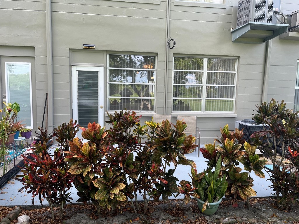 2462 Brazilia Drive #22 Clearwater FL 33763 TB8430540 image16