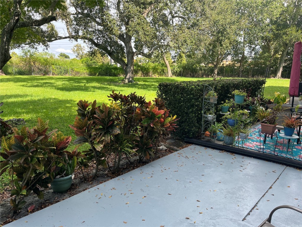 2462 Brazilia Drive #22 Clearwater FL 33763 TB8430540 image18