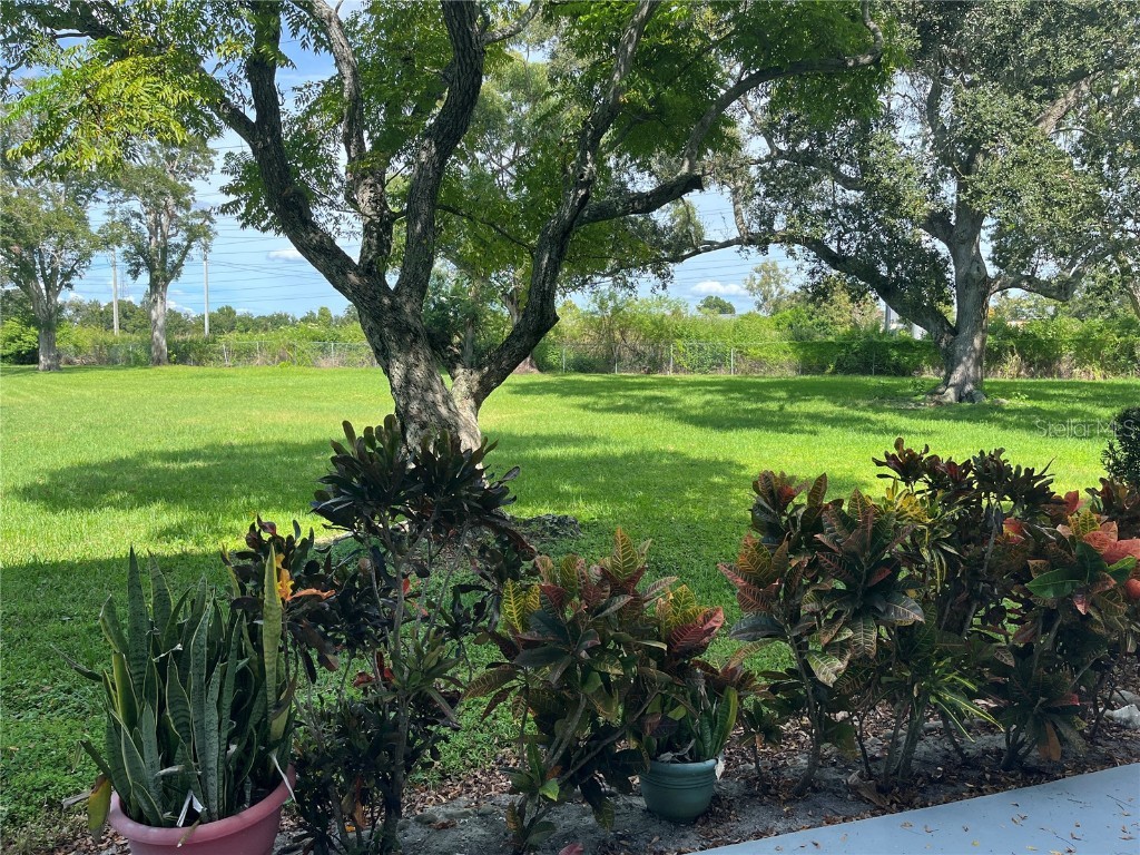 2462 Brazilia Drive #22 Clearwater FL 33763 TB8430540 image19