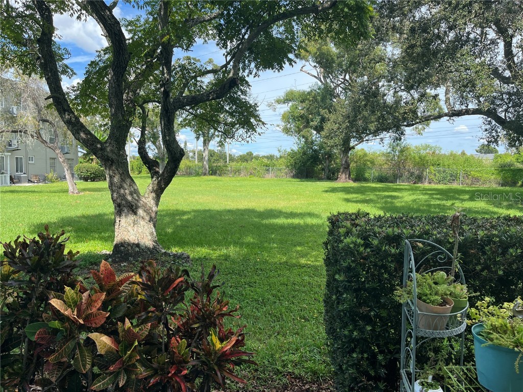 2462 Brazilia Drive #22 Clearwater FL 33763 TB8430540 image20