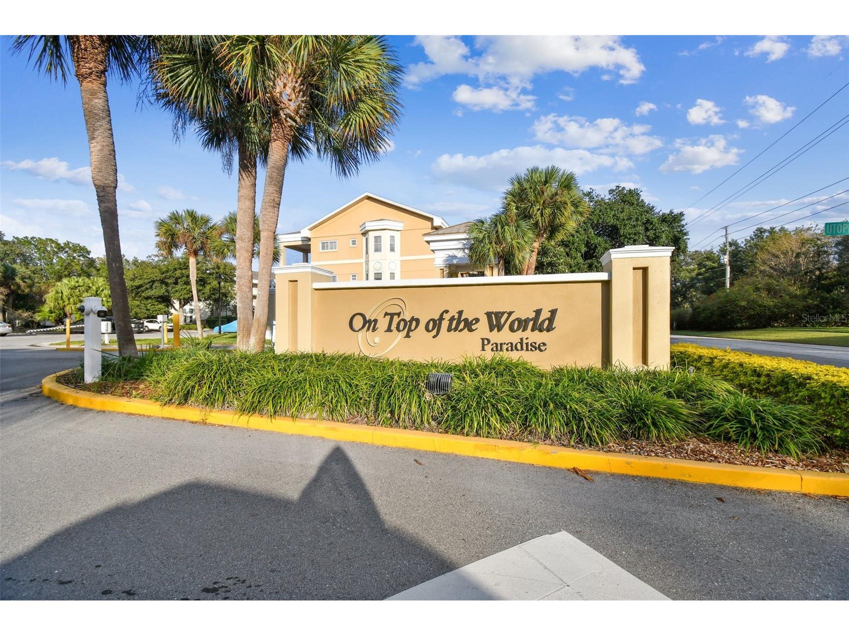 2462 Brazilia Drive #42 Clearwater FL 33763 TB8510515 image36