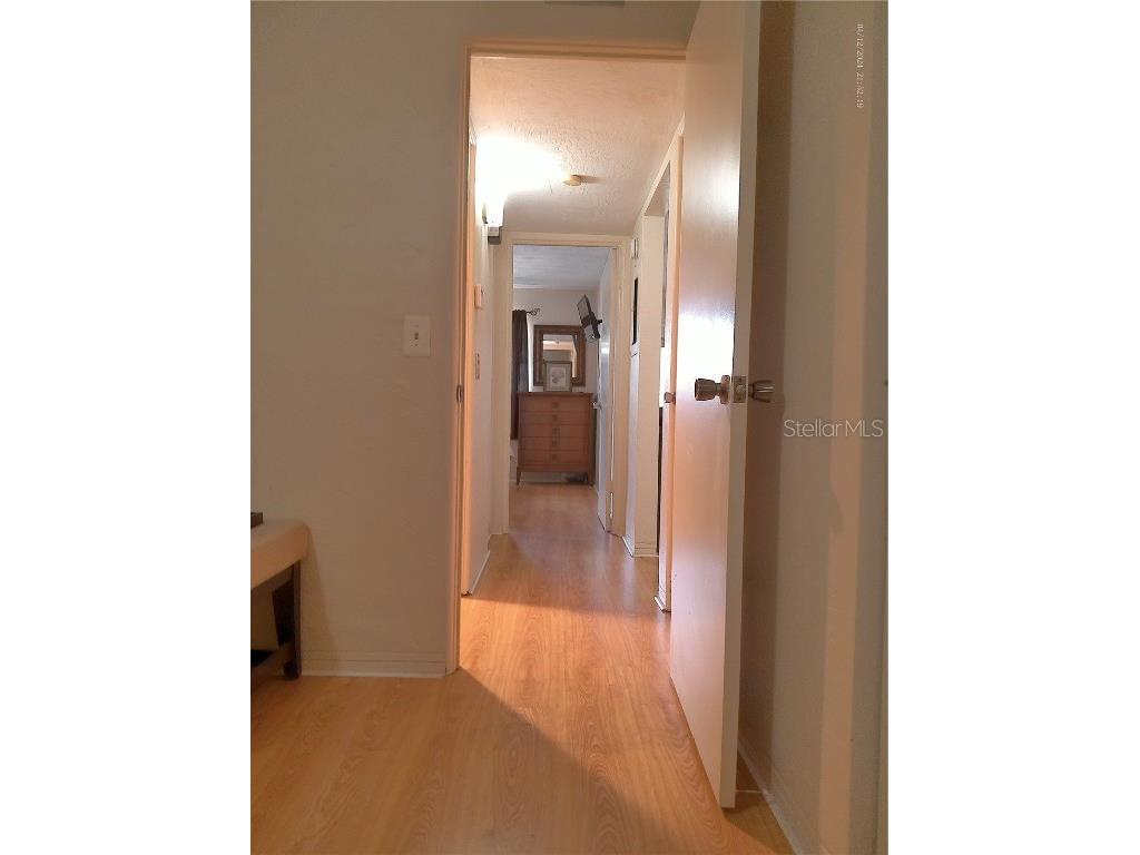 2462 Brazilia Drive #44 Clearwater FL 33763 W7881573 image26