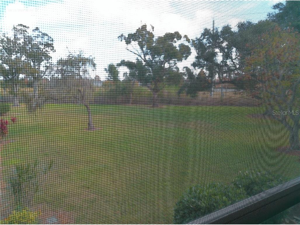 2462 Brazilia Drive #44 Clearwater FL 33763 W7881573 image40