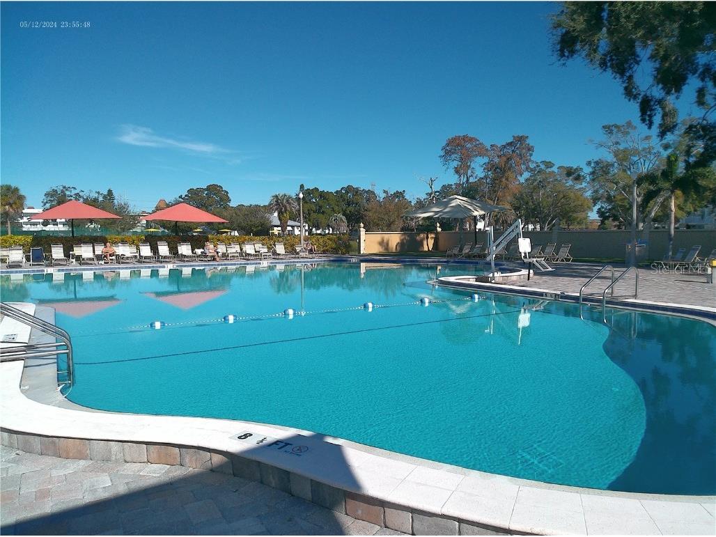 2462 Brazilia Drive #44 Clearwater FL 33763 W7881573 image43