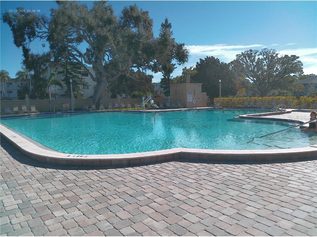 2462 Brazilia Drive #44 Clearwater FL 33763 W7881573 image44