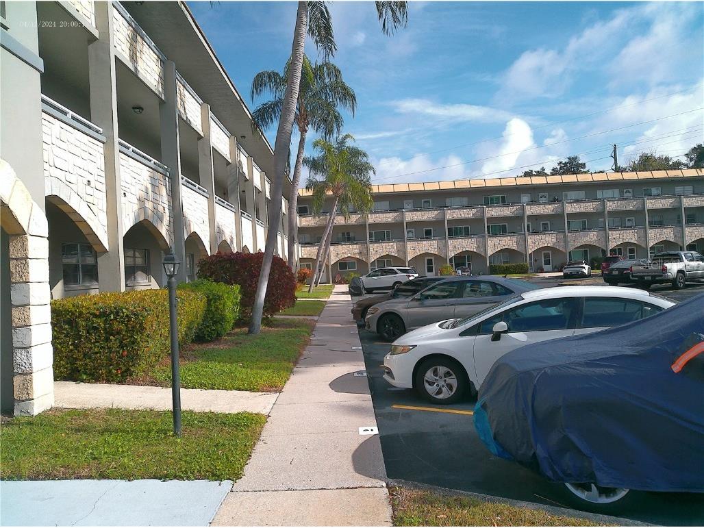 2462 Brazilia Drive #44 Clearwater FL 33763 W7881573 image5