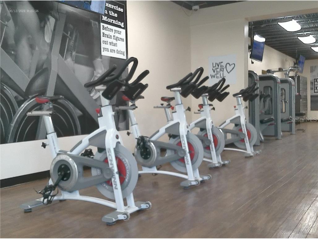 2462 Brazilia Drive #44 Clearwater FL 33763 W7881573 image56