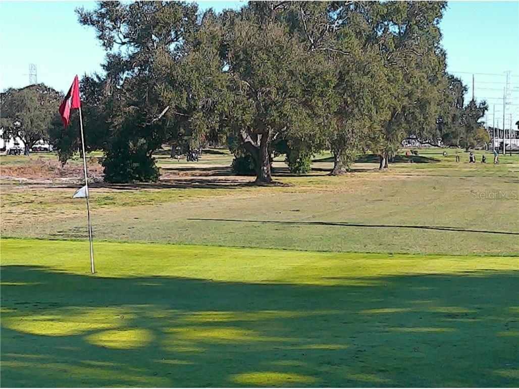 2462 Brazilia Drive #44 Clearwater FL 33763 W7881573 image64