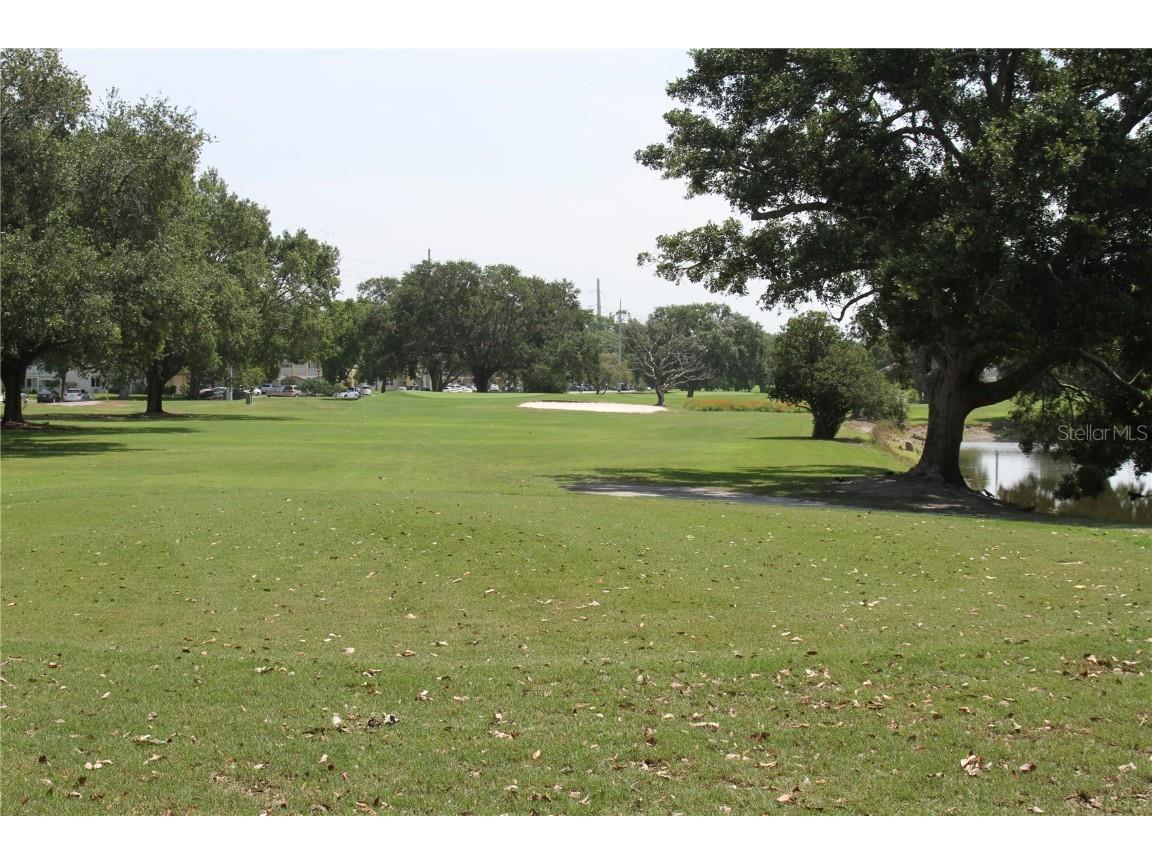 2462 Brazilia Drive #44 Clearwater FL 33763 W7881573 image69