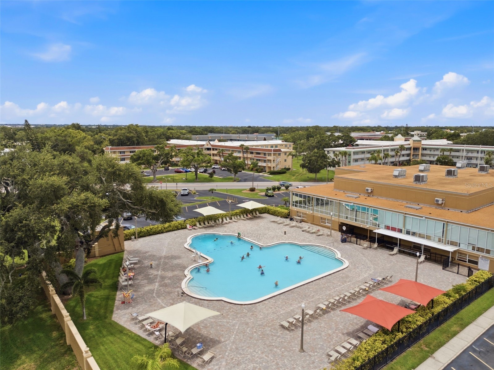 2462 Brazilia Drive #70 Clearwater FL 33763 TB8518545 image36