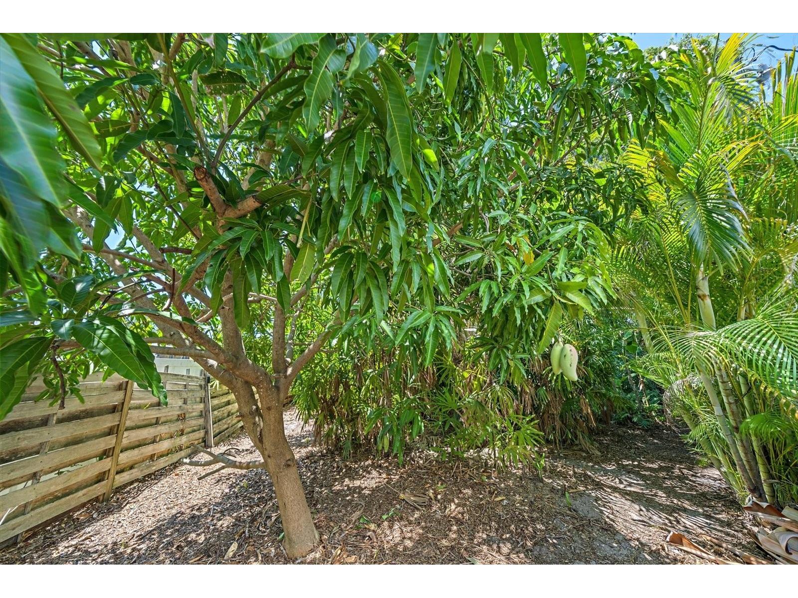 2462 Clematis Street Sarasota FL 34239 A4697812 image39