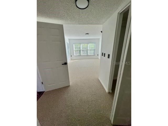 2462 Kingfisher Lane #J203 Clearwater FL 33762 TB8472880 image10